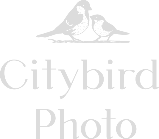 Citybird Photo