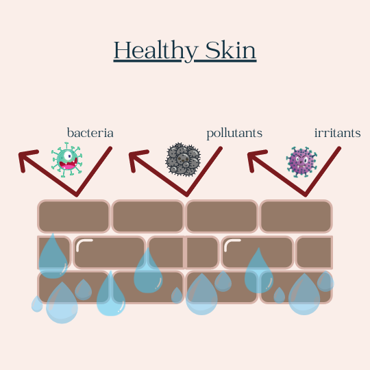 healthy skin.png