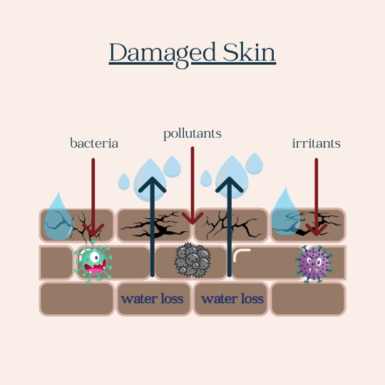 damaged skin.png