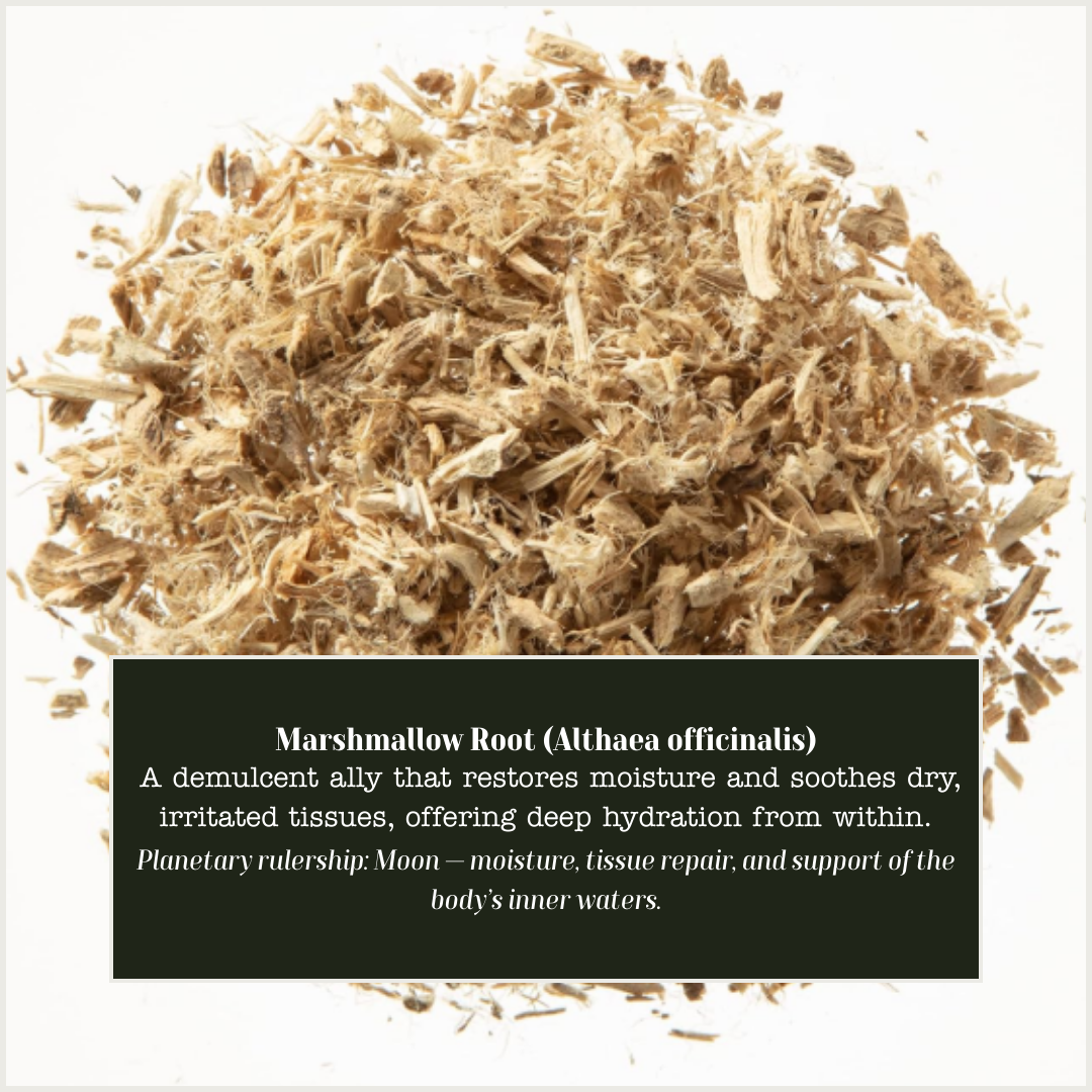 Marshmallow Root.png