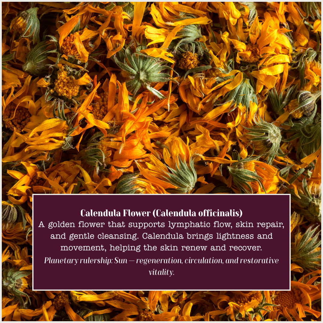 Calendula.png