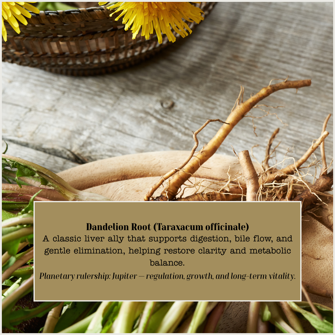 Dandelion Root.png