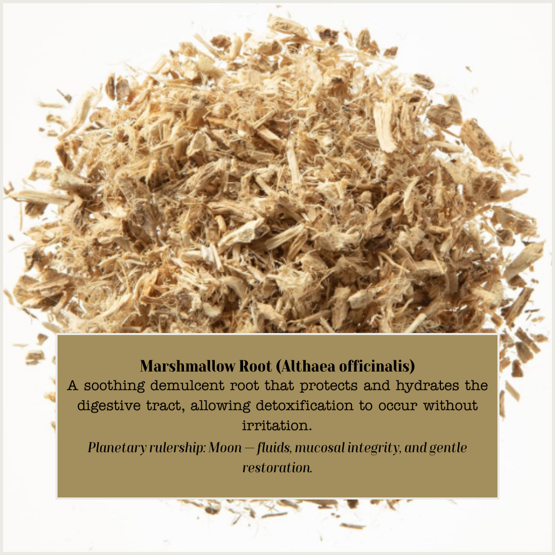 Marshmallow for cleanse.png