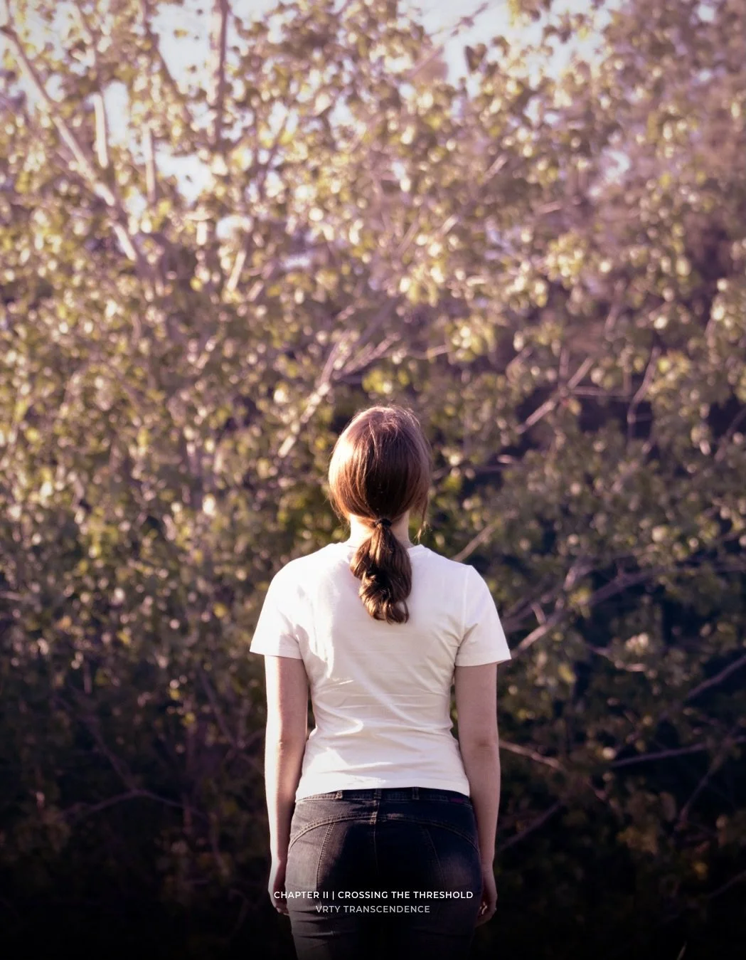 Chapter II | Part I : Crossing the Threshold

Is it really art if the focus is on maintaining an image? Vanity of vanities. All is vanity.

VRTY Transcendence

Truth over vanity.
Let the art do the talking.

VRTY Arthouse&reg;
Creative Director: @kyl