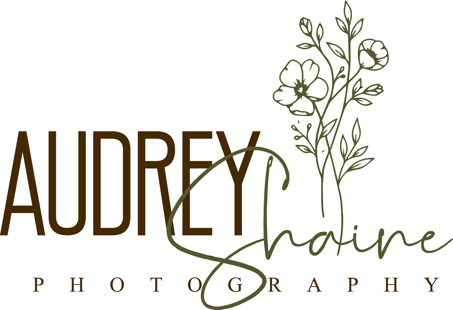 Audrey Shaine Photography