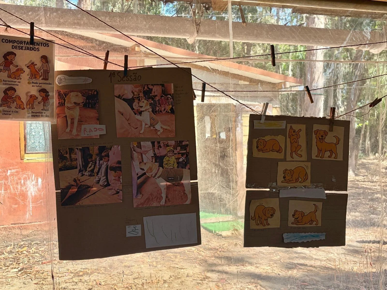Sessão ZooHumano numa escola