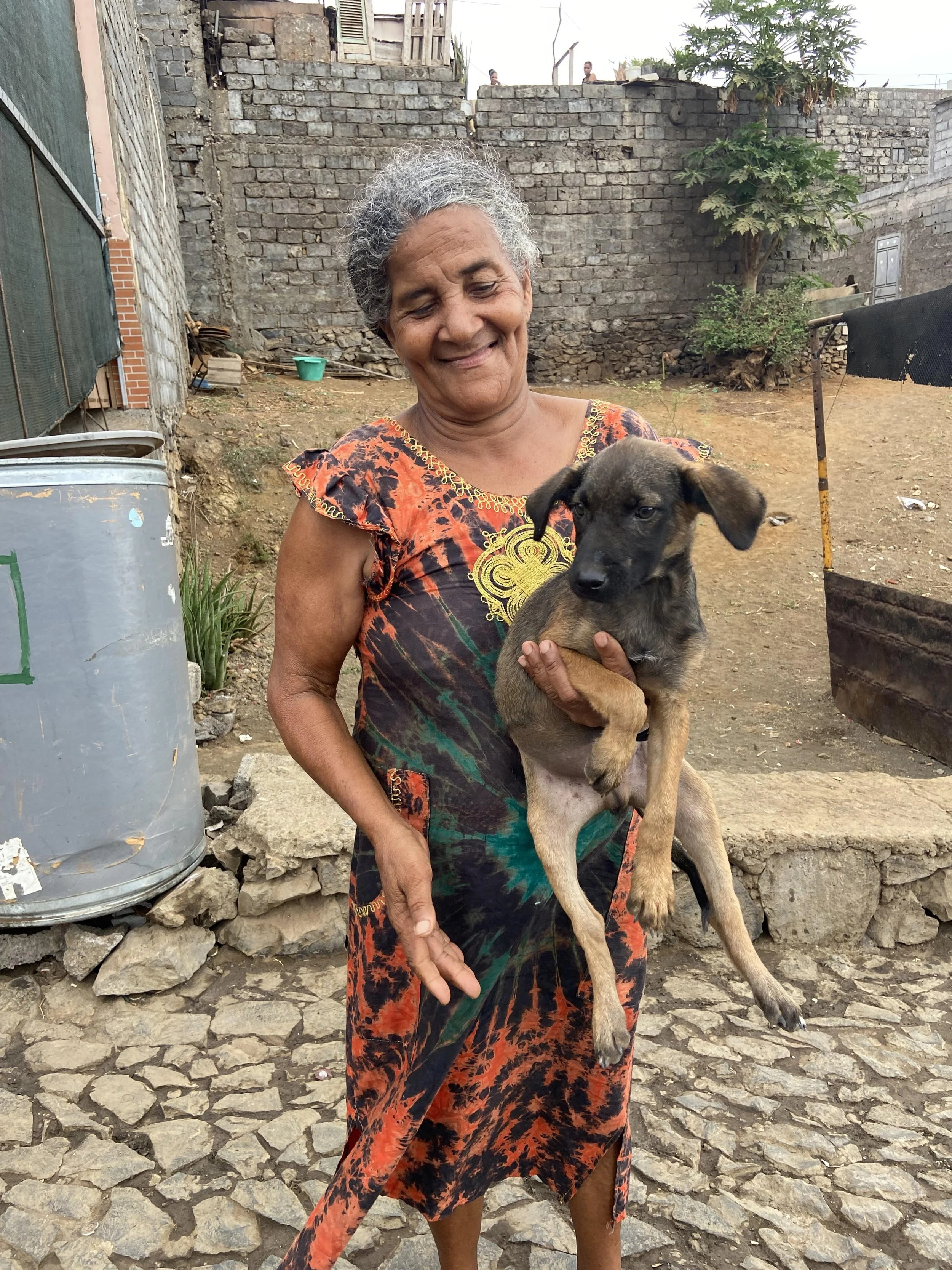 Trabalho da CoVets na Ilha do Fogo
