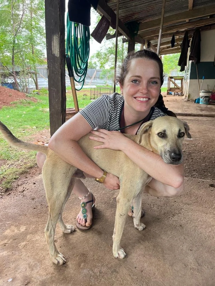 Cuidados veterinários na AMA