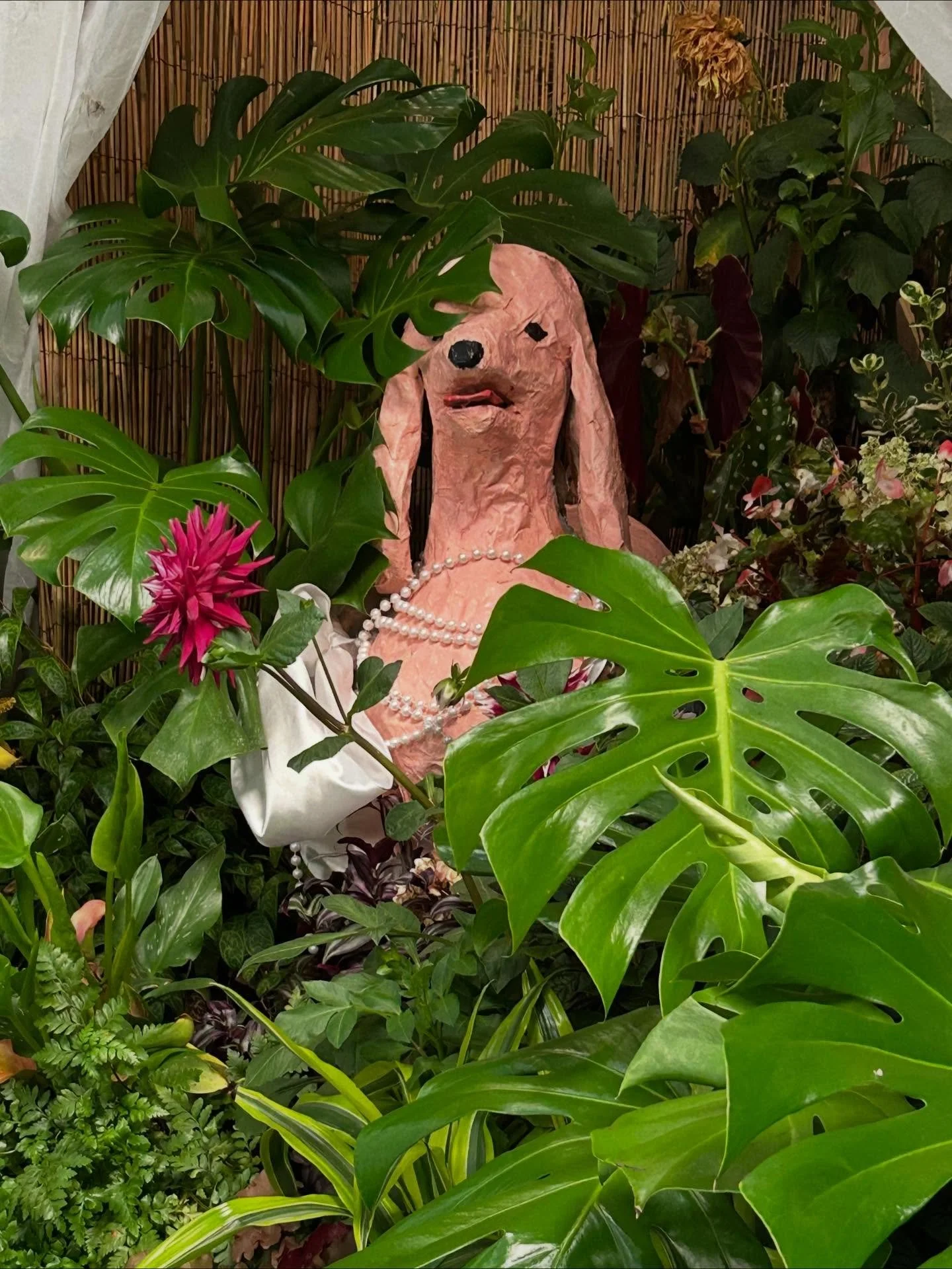 Wishing everybody a very happy new year! 💚🐩 Personal Space will be reopening in early 2026, after a much needed hiatus. (The gallery was broken into a couple months ago in the midst of a family health emergency 🫤). Needless to say, we&rsquo;ve mis