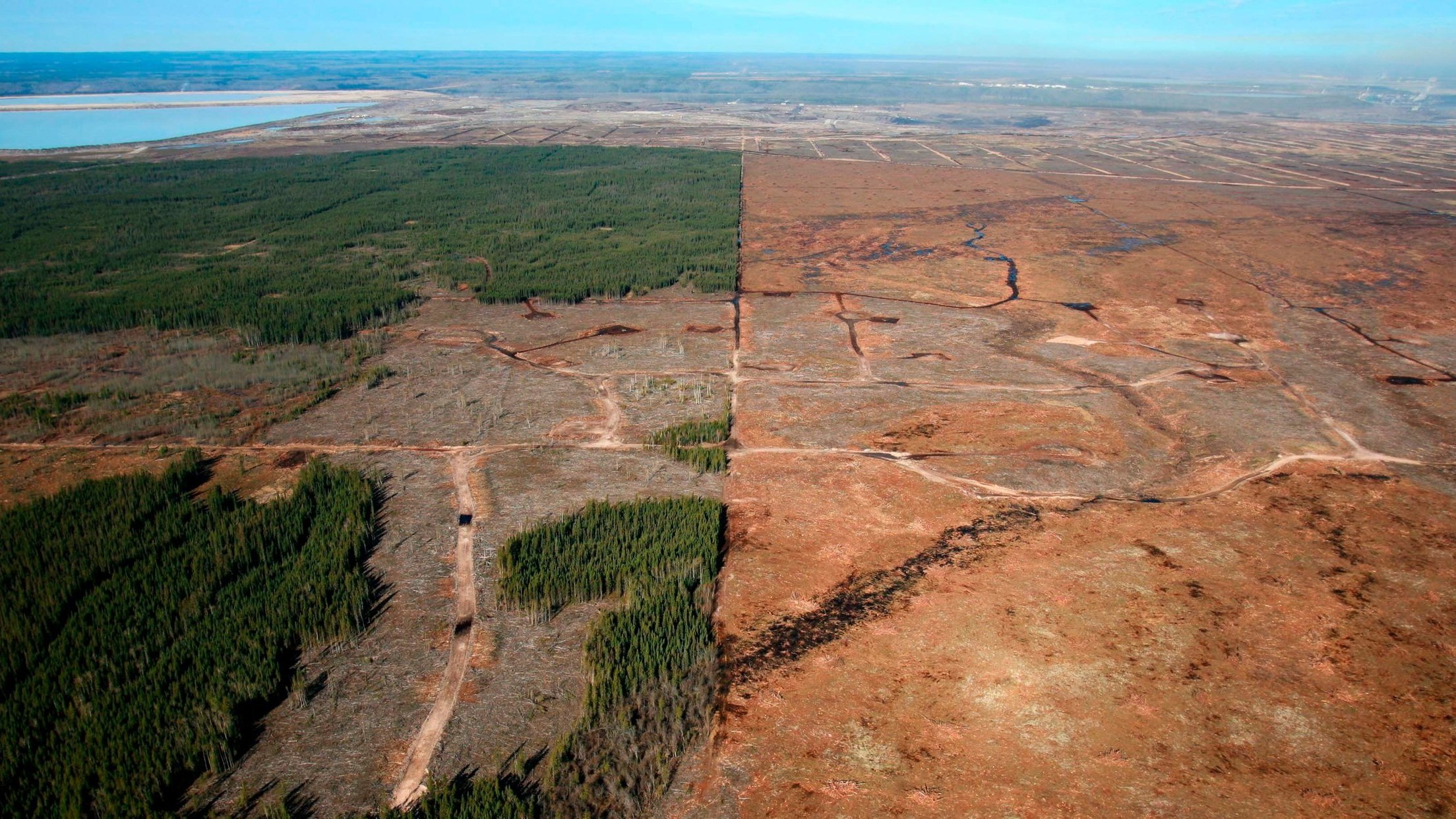 Blog Wilderness Front