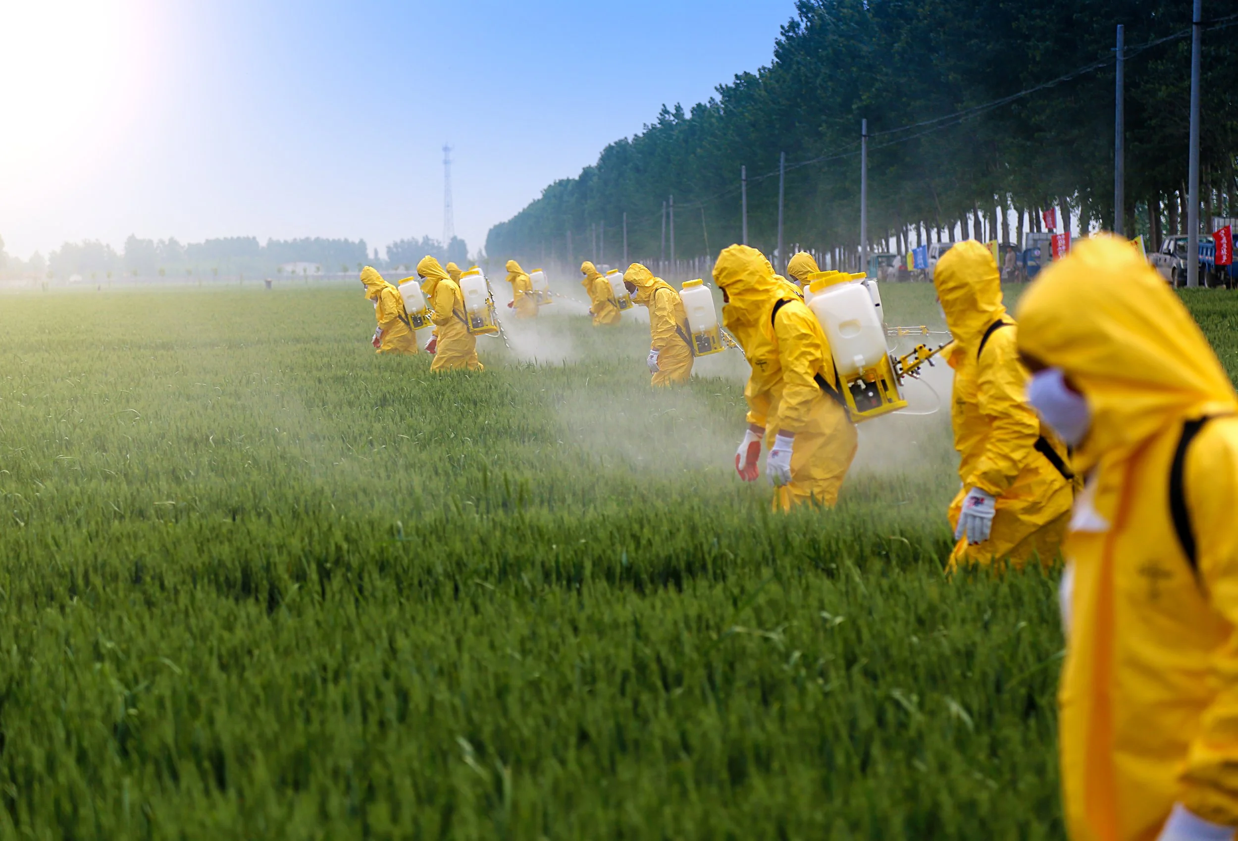 “Roundup” The Cancer Rates: Toxic Glyphosate and the Tech Dependency Trap