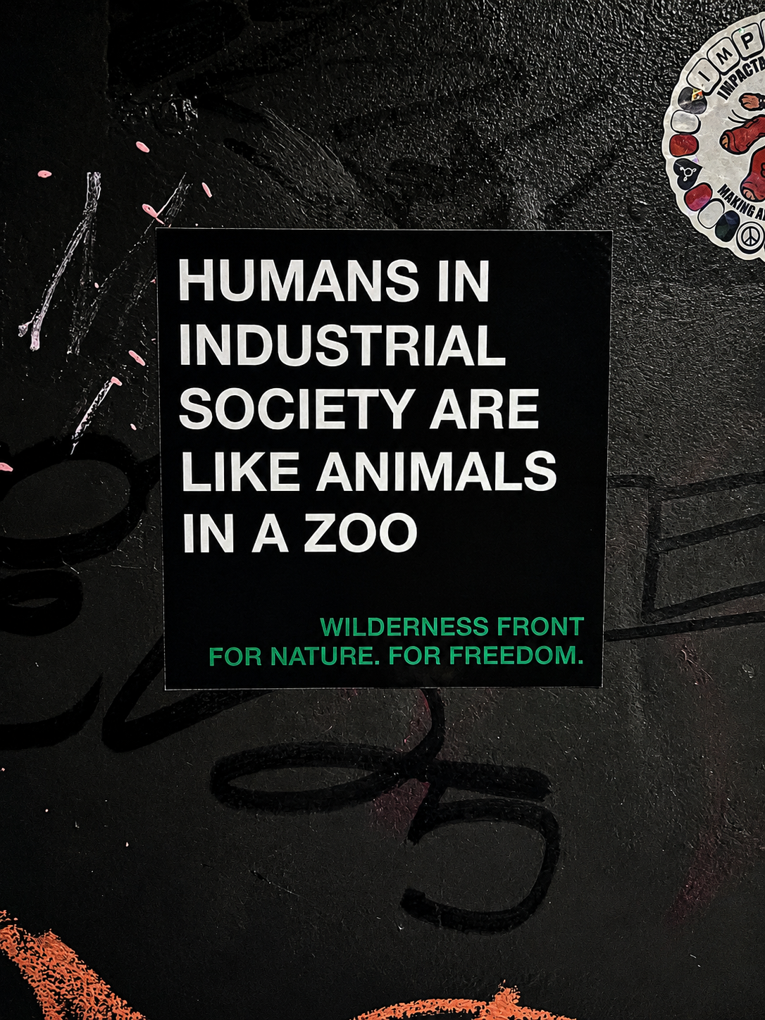 [PRE-ORDER. SHIPPING IN 2 WEEKS] "Like Animals in a Zoo" 4x4 Sticker (5 count)
