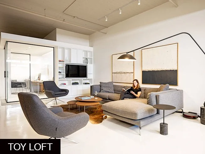 TOY-LOFT3.jpg