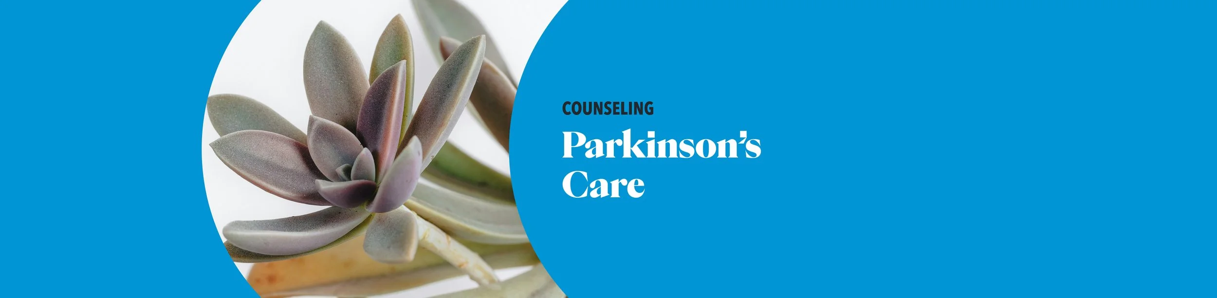 Parkinson’s Care Support Group