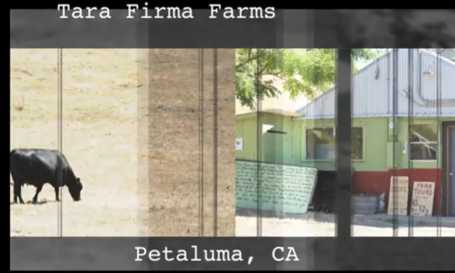Tara Firma Farms