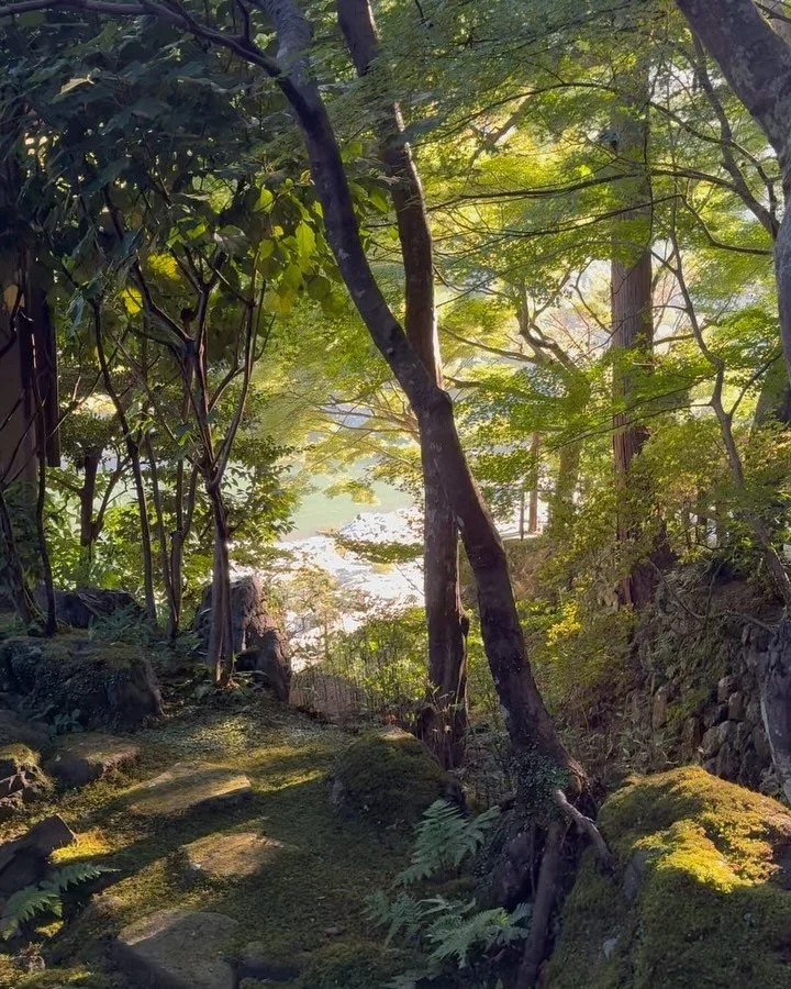 🇯🇵No photo can capture it. A one of a kind country that left us wanting to return and wander deeper into all its hidden corners. @alysekolhede