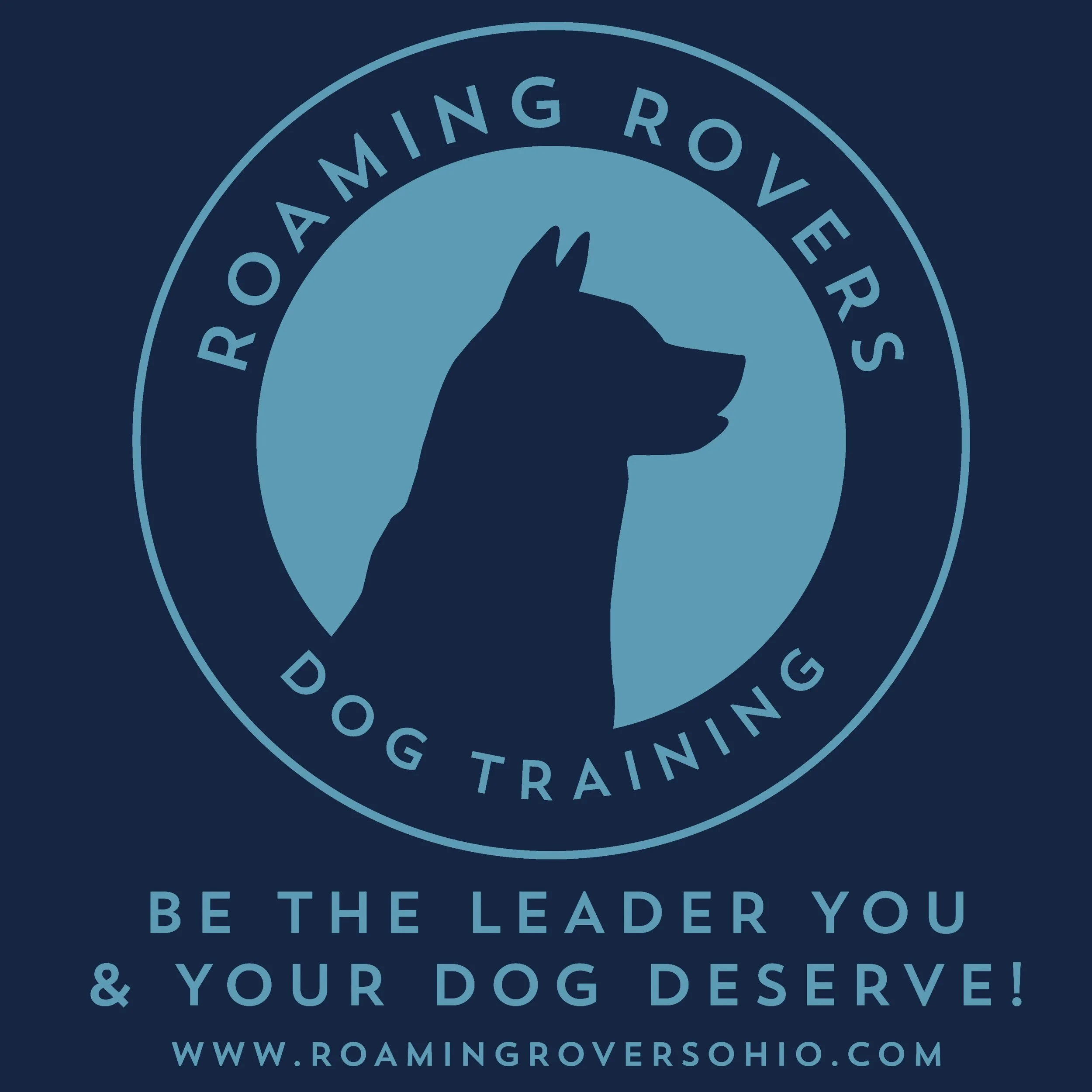 RESCUE VIBES BACK THUMB copy.jpg