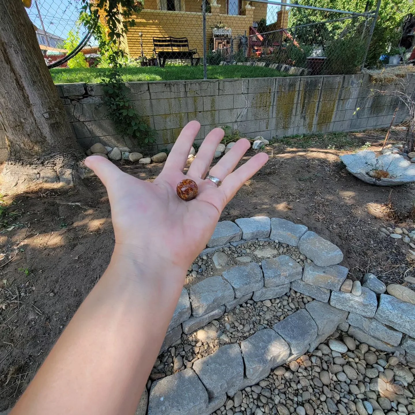 It's been a while since I've said hi! It's been a busy summer. The house rewarded us for completing the garden project that was stalled months ago with a Brown Bennington marble.

#thisoldhouse #restoration #marble