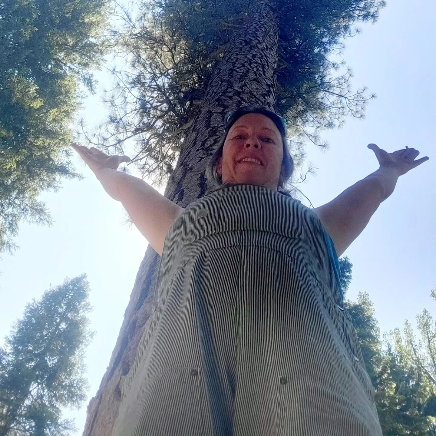 Hyyva juhannus! Happy midsummer! The forest was calling.