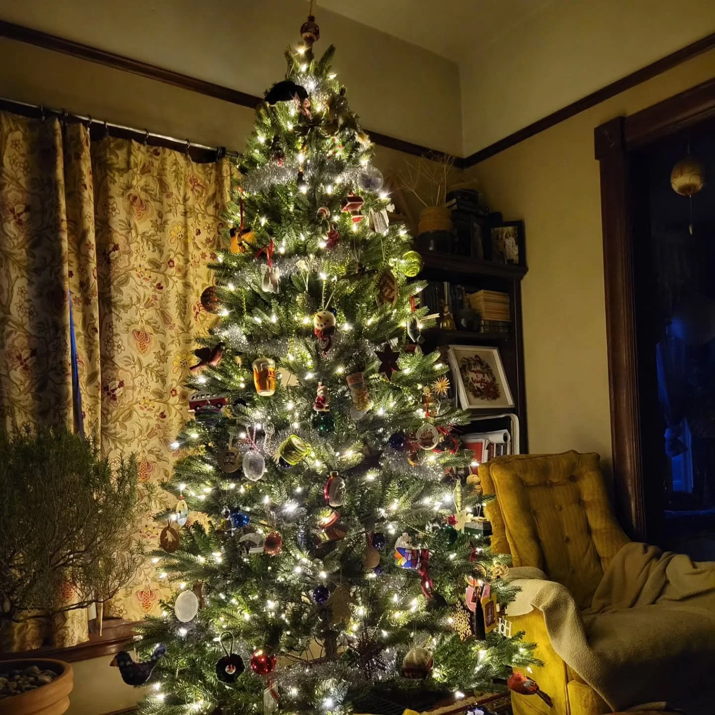 Christmas is upon us!