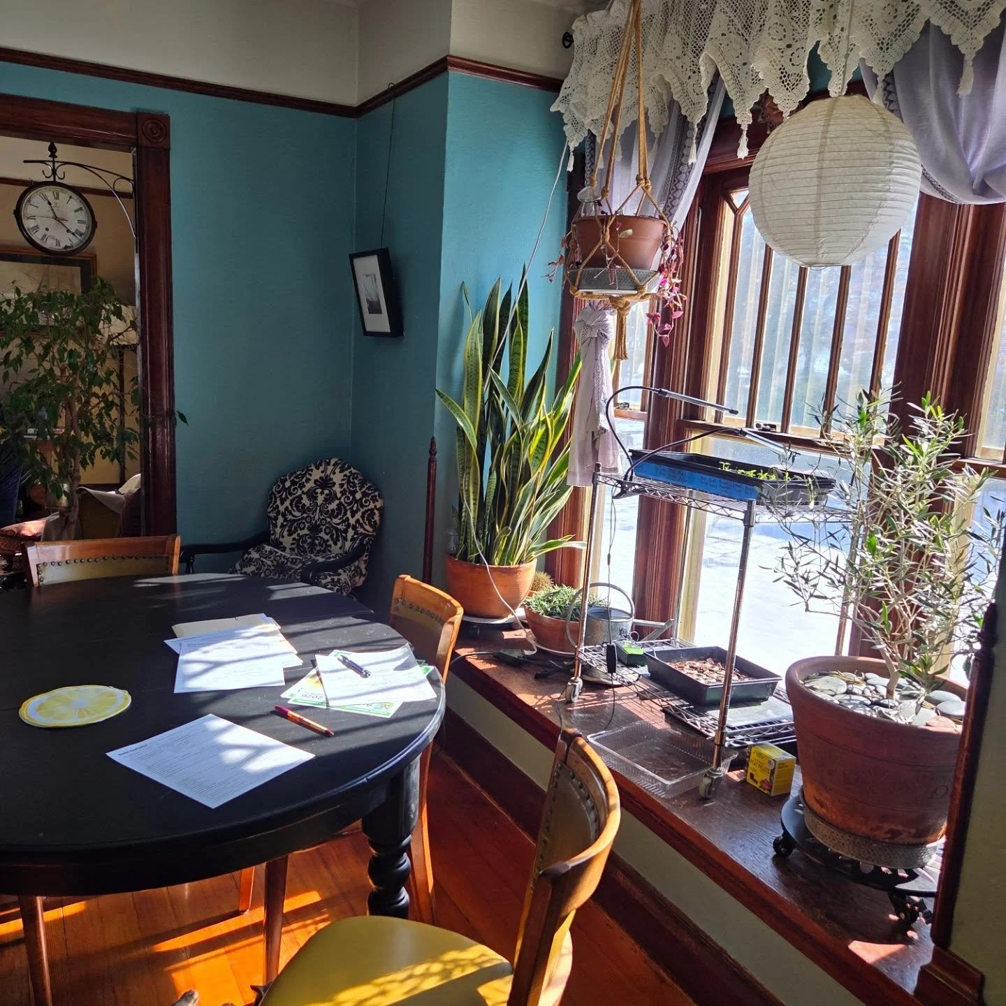 Spring streaming in my windows today!