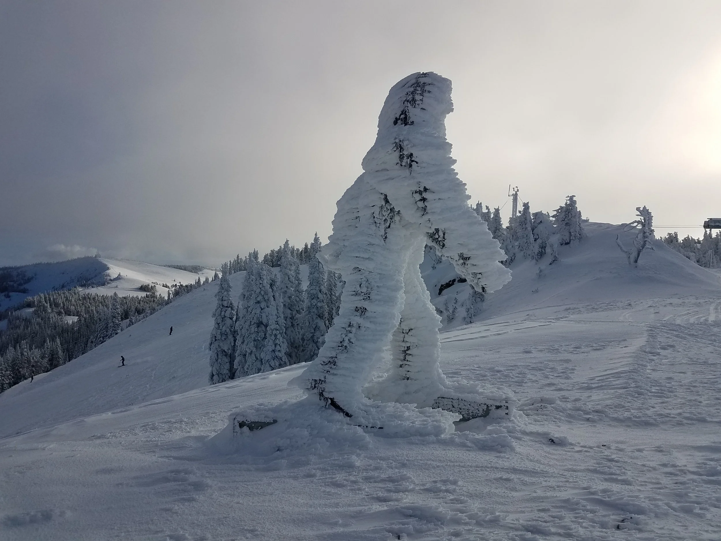 Opening Day with Skiers.jpg