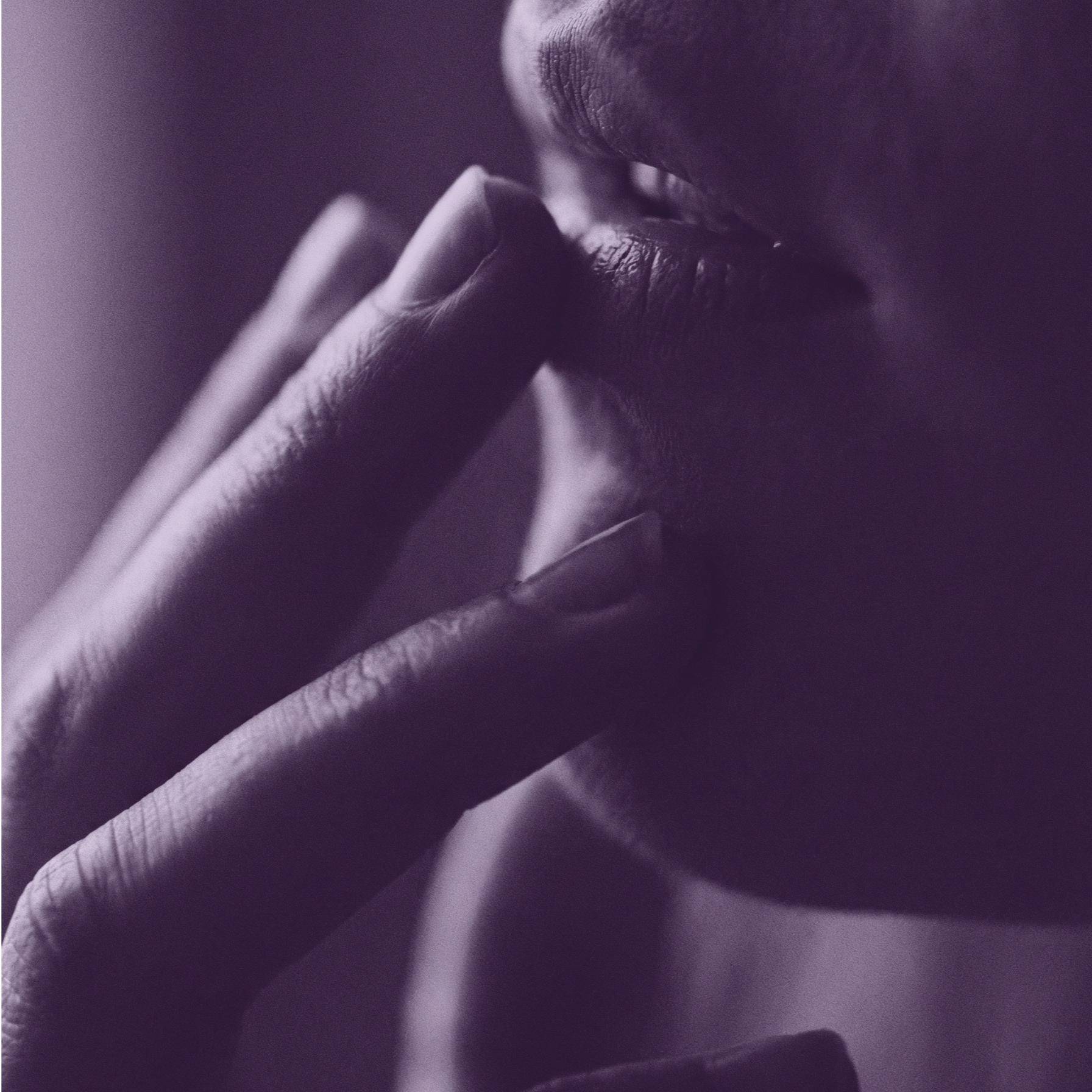 The Passionate Archetype Playbook