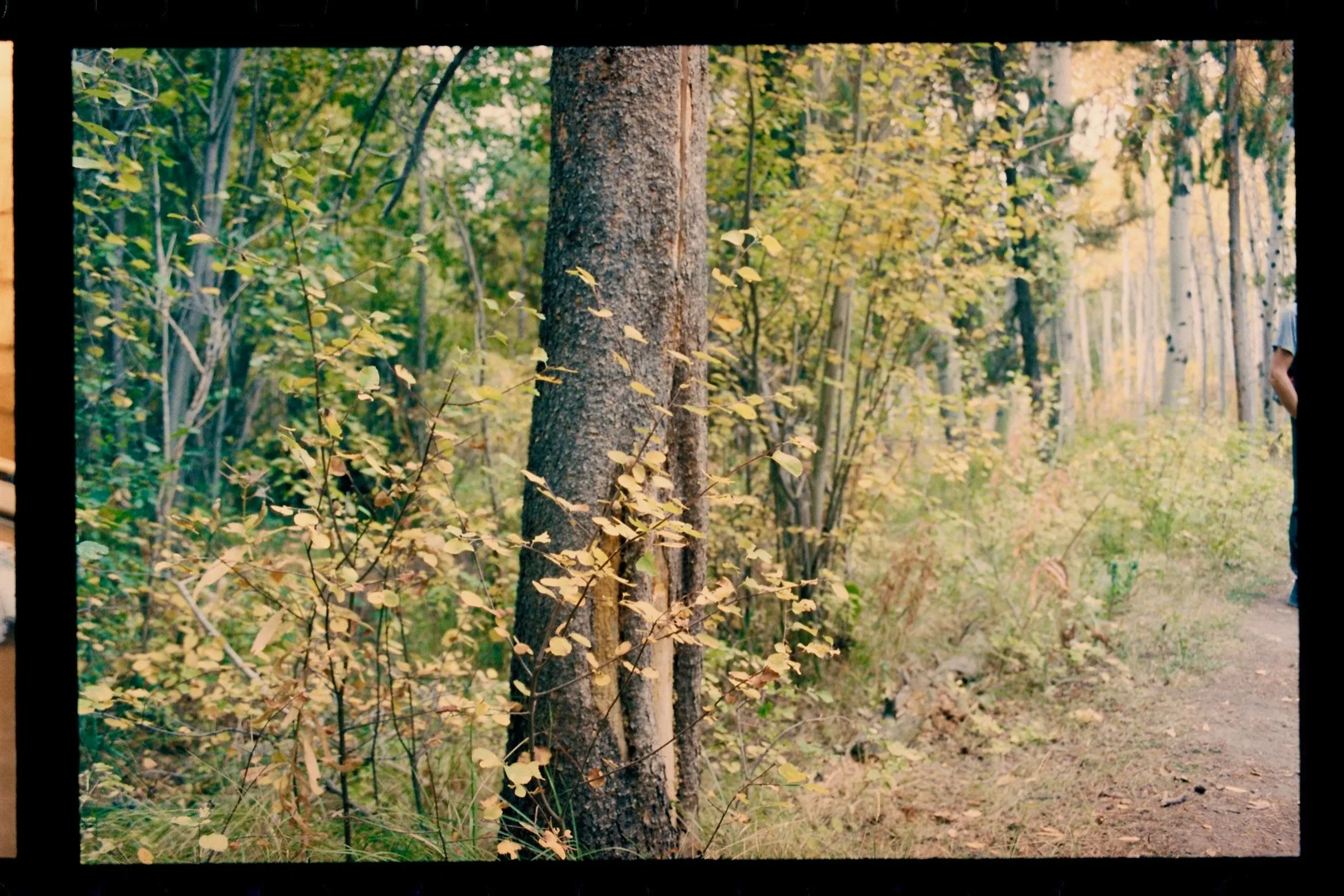 98310KJhac102201-R2-052-2.jpg