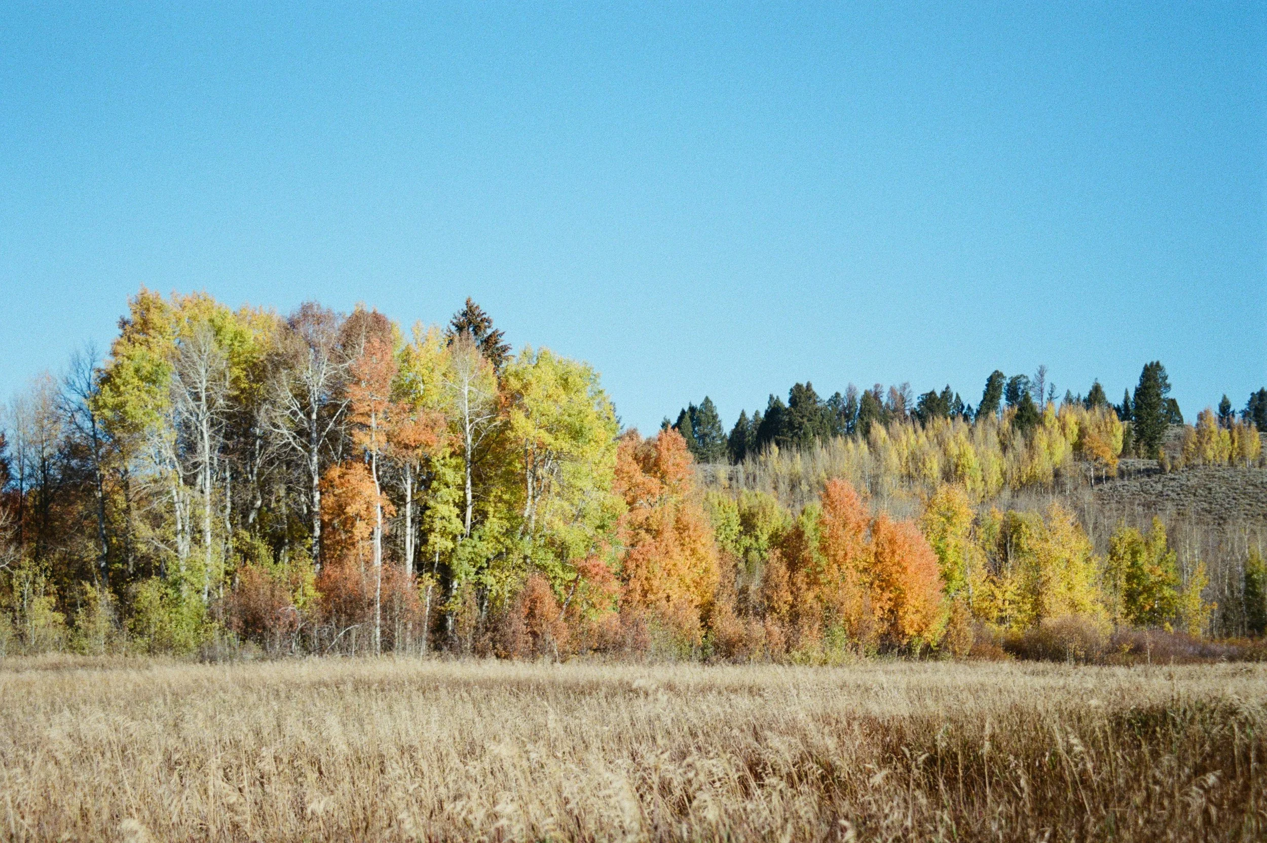 117198070029.jpg