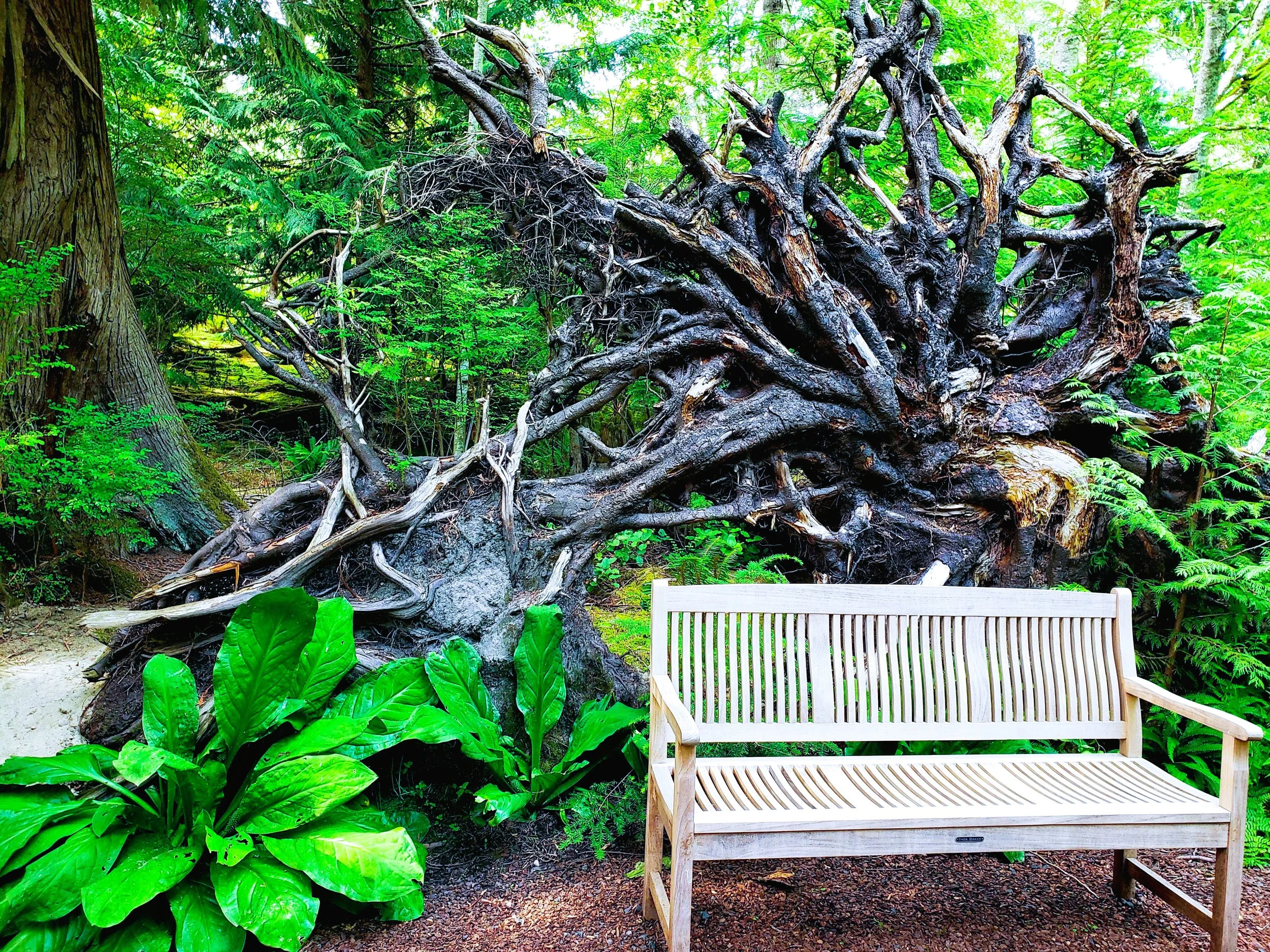 The Endless Quest for Self-Awareness