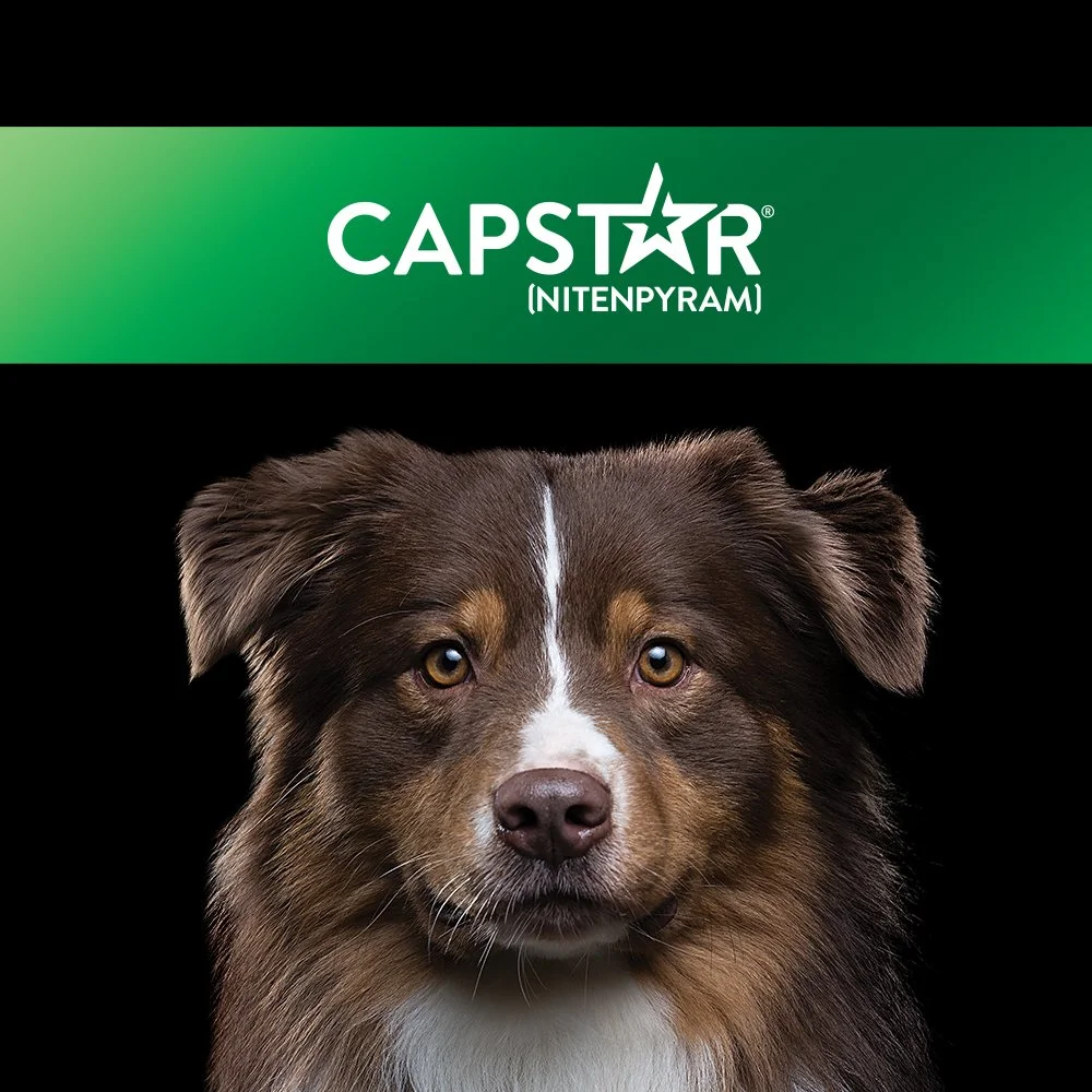 Capstar Packaging