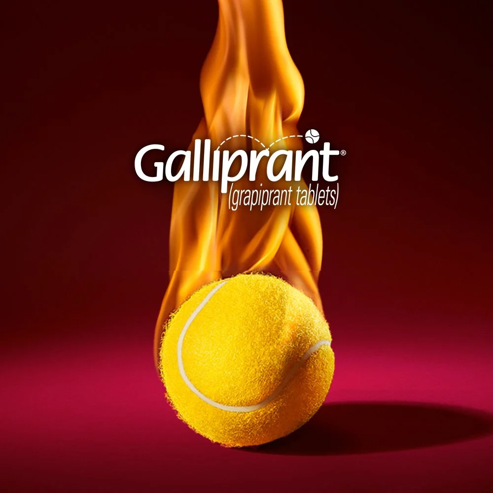 Galliprant | Playing with Fire Social Media