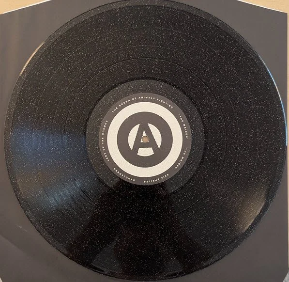 TSOAF The Maiden Vinyl Black Glitter.jpg