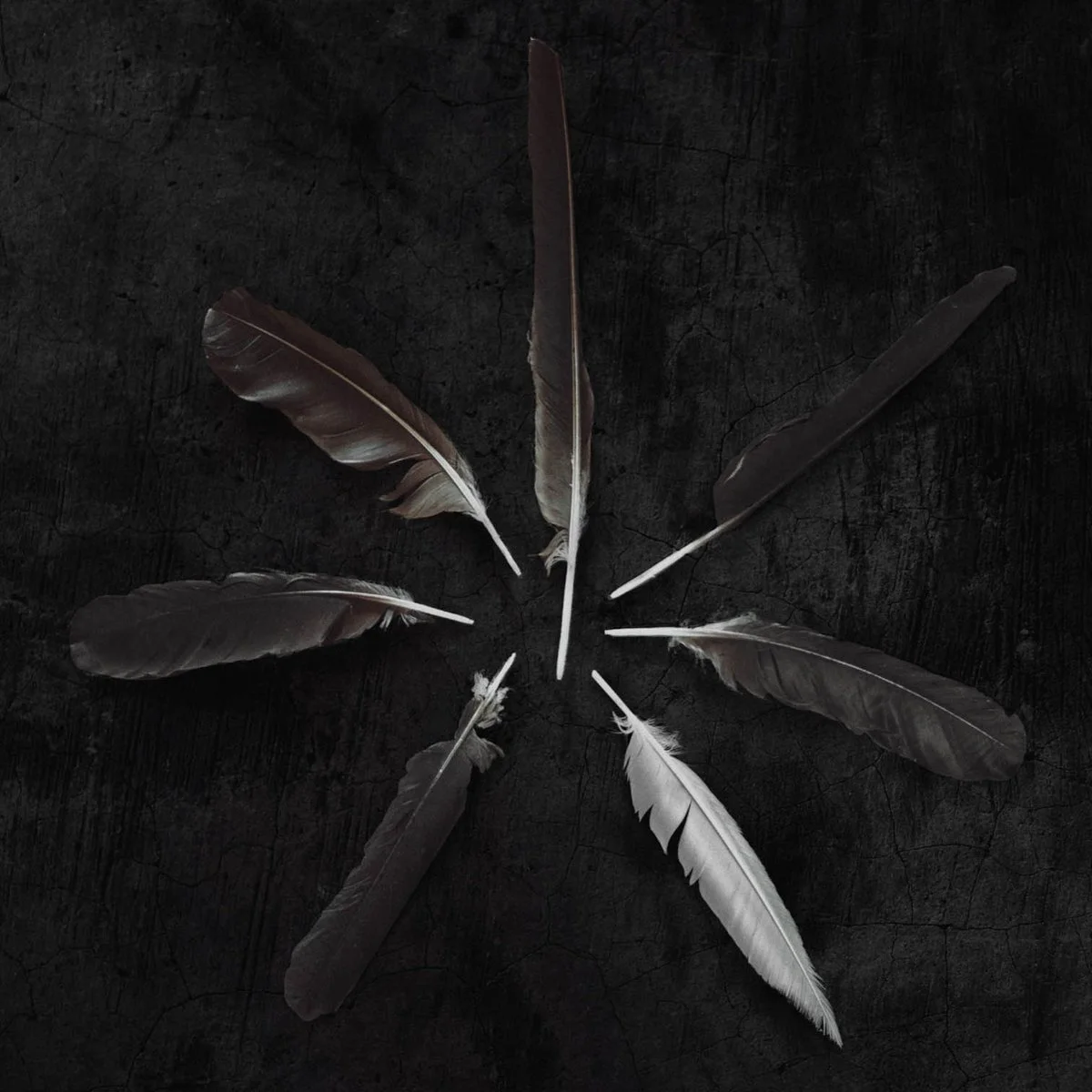 Caspian - Dust And Disquiet Vinyl