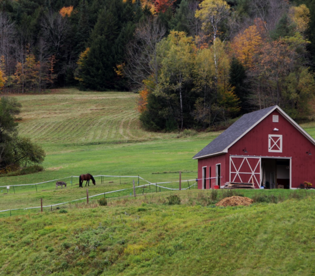 A red barn in a green field with horses, surrounded by trees with fall foliage.