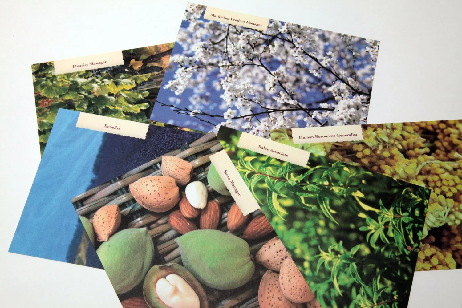 LOC_RecruitmentCards_newweb_o.jpg