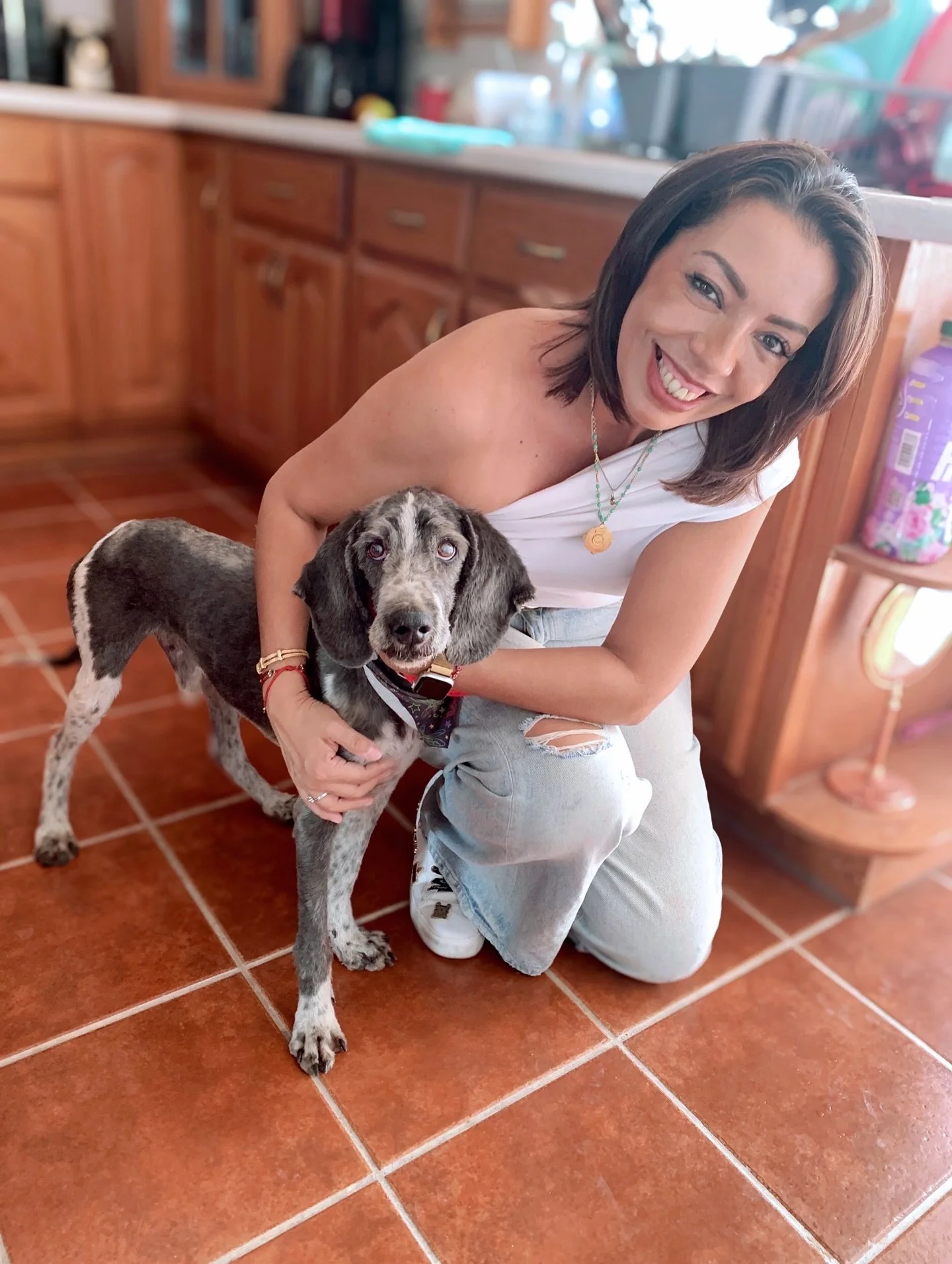 ADOPTADO‼️ 🎉 | Esta es una adopci&oacute;n que en especial nos llena de alegr&iacute;a anunciar, ya que Jupiter, como ahora se llama, es un perro de edad avanzada que sufri&oacute; casi toda su vida abandonado en una azotea sin protecci&oacute;n ni 