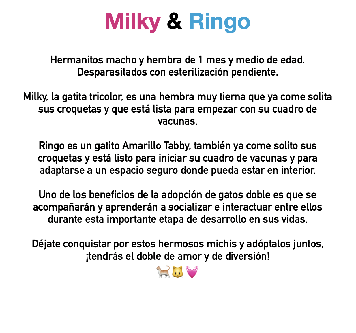 MILKY & RINGO