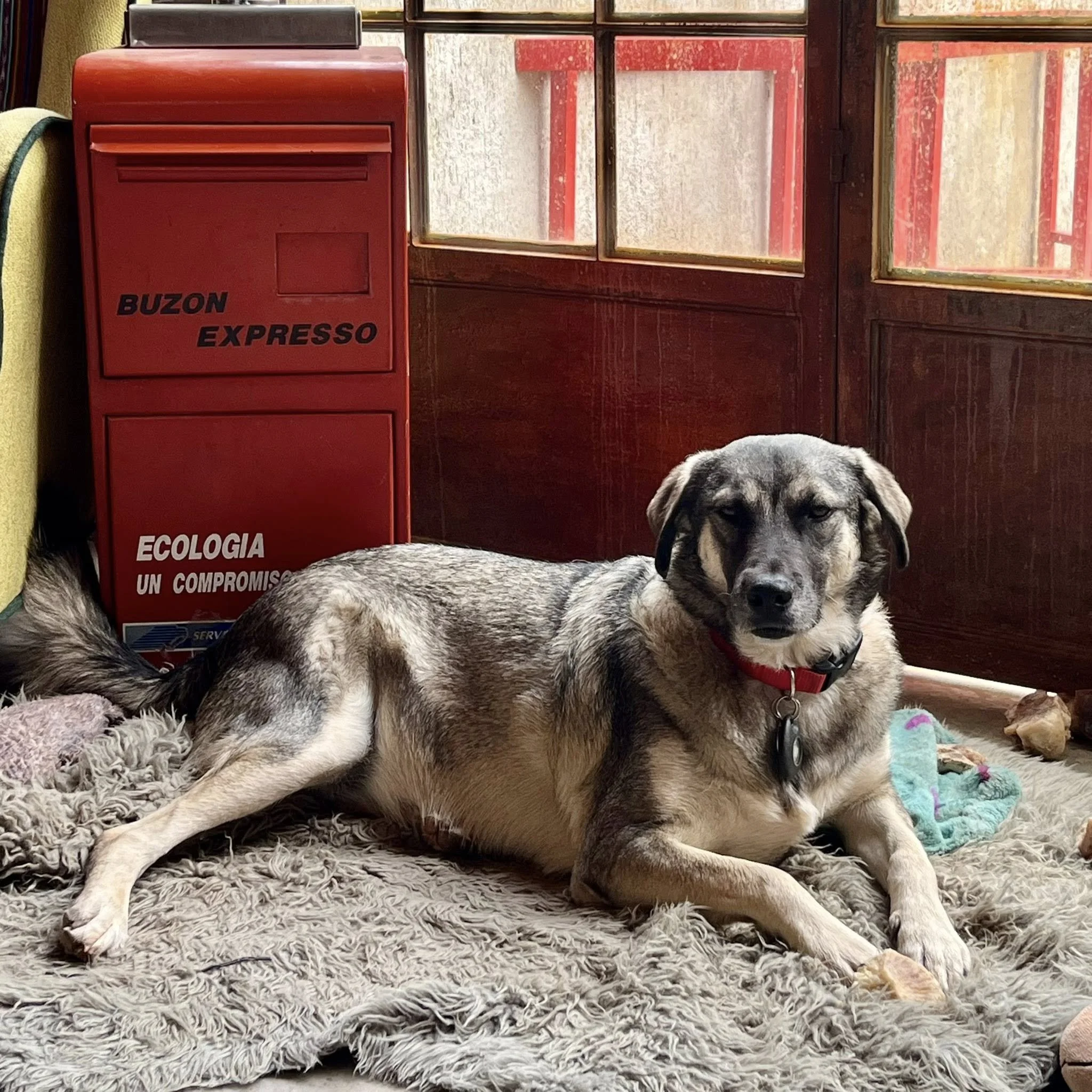 TULA | + info dar clic en la foto ↑