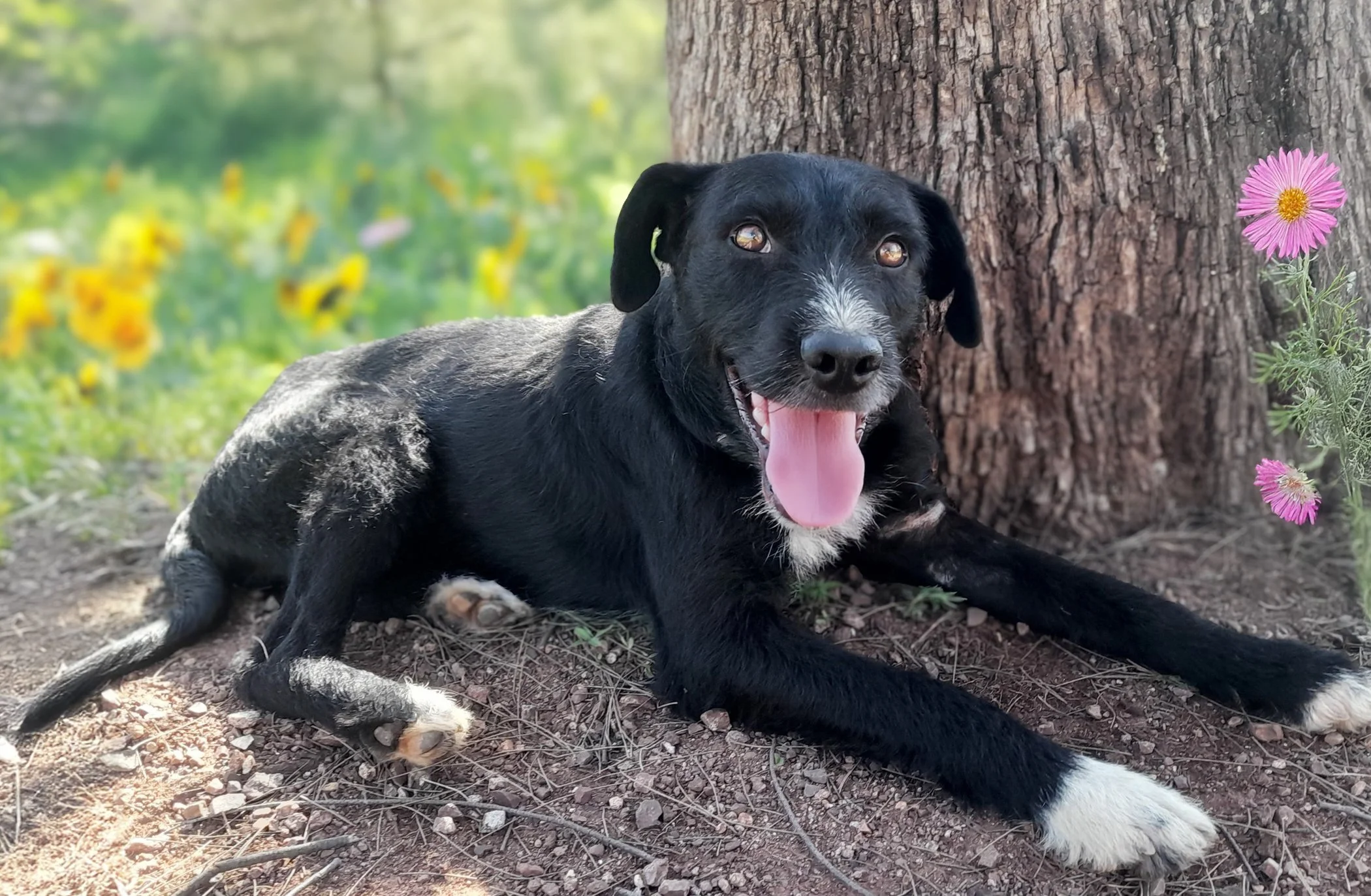 NITO | + info dar clic en la foto ↑