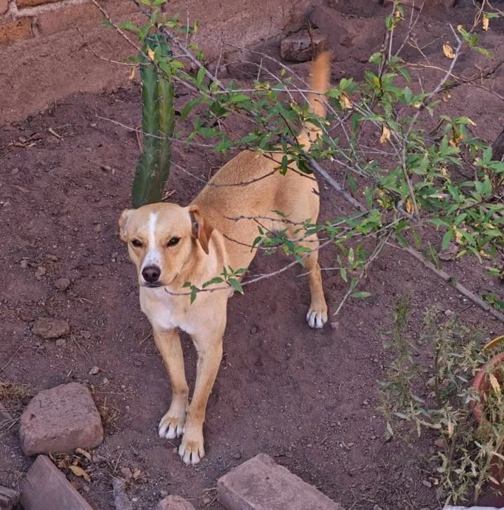 COCO | + info dar clic en la foto ↑