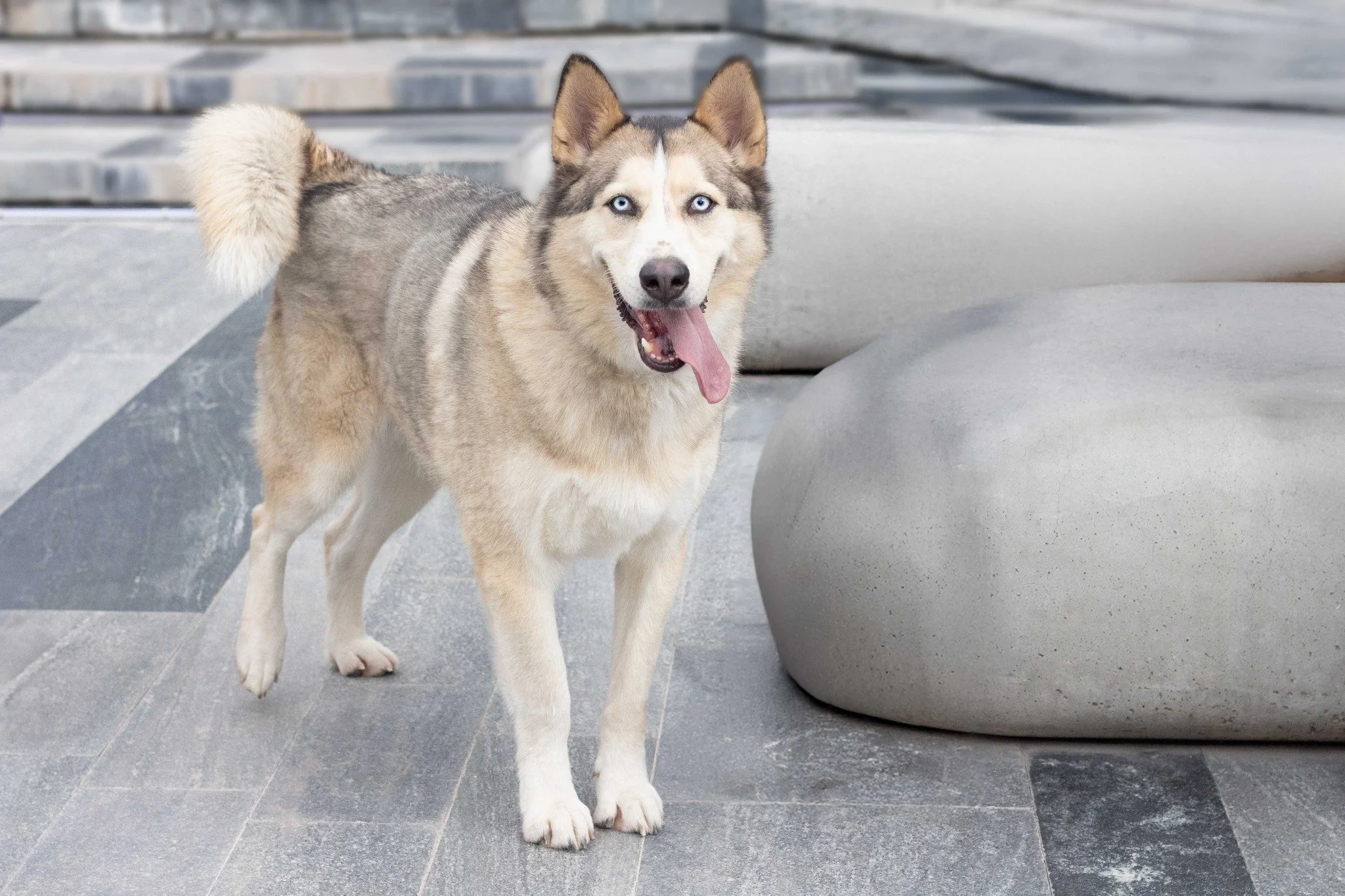 PONCHO | + info dar clic en la foto ↑