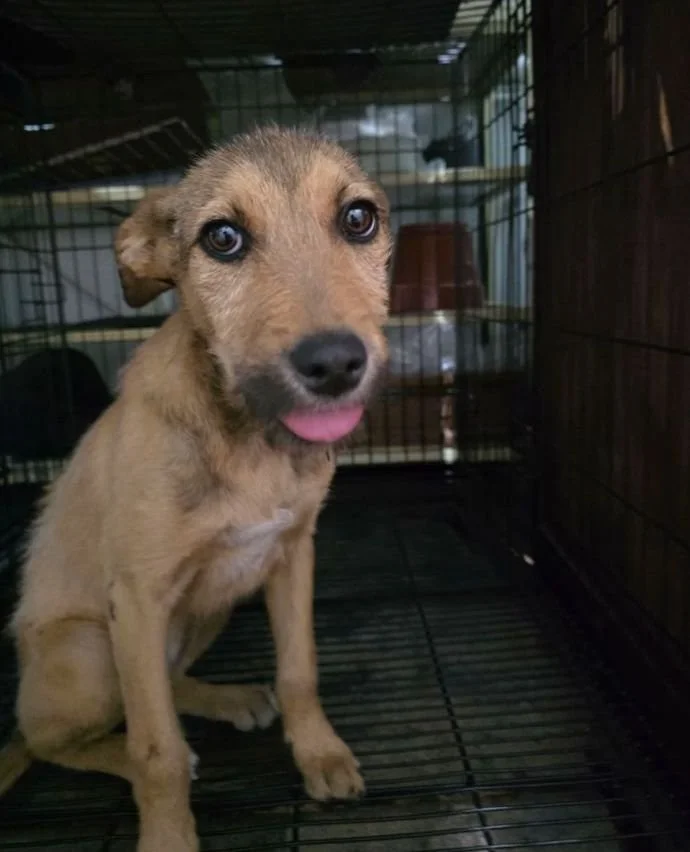 MOLLY | + info dar clic en la foto ↑