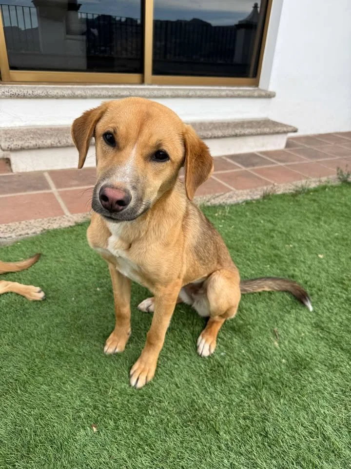 BOMBÓN | + info dar clic en la foto ↑