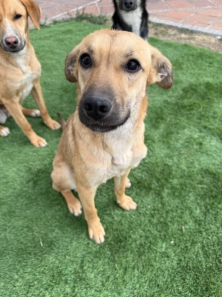 BURBUJA | + info dar clic en la foto ↑