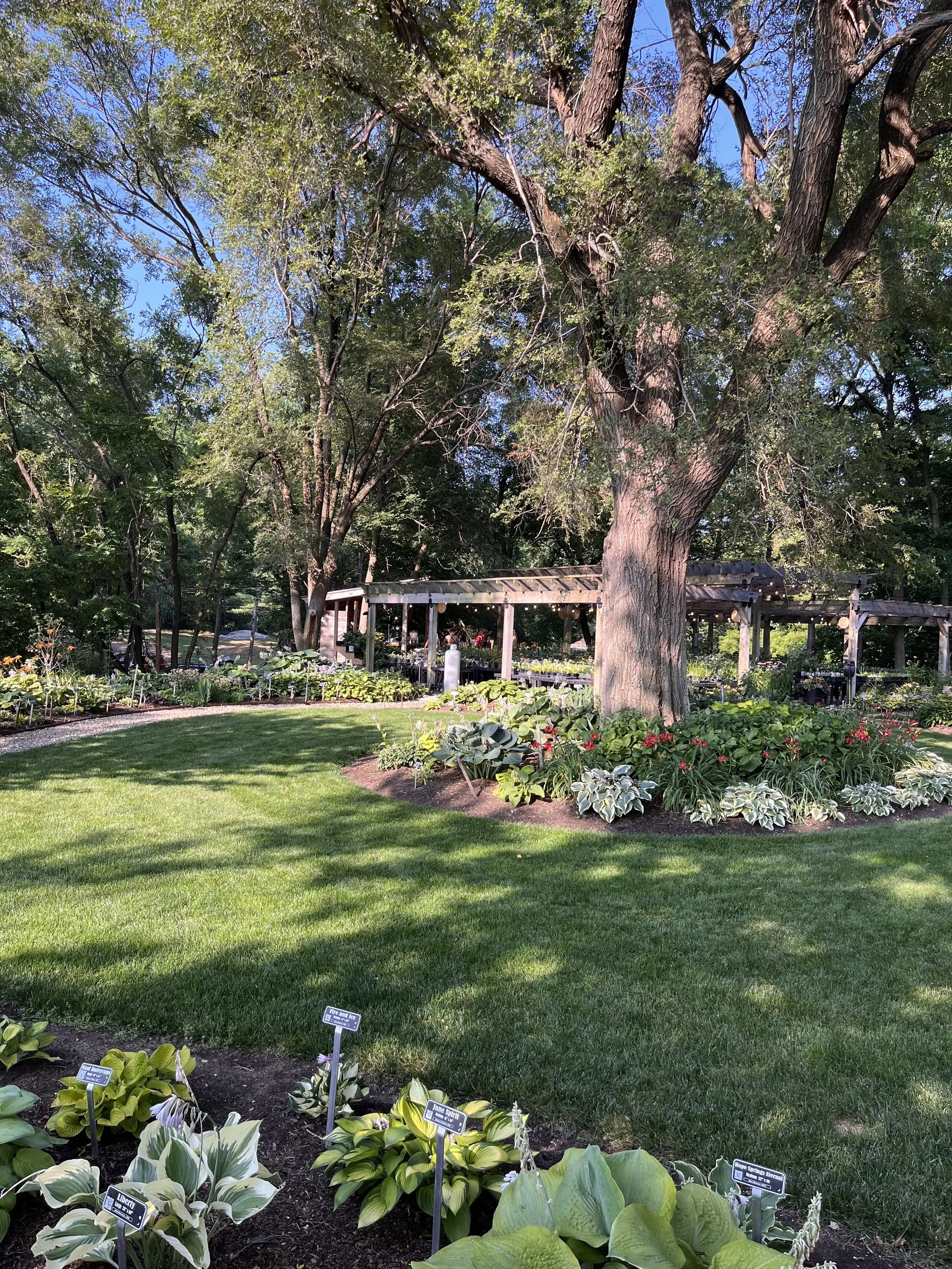 Hostas on the Bluff, Fairview Heights, IL