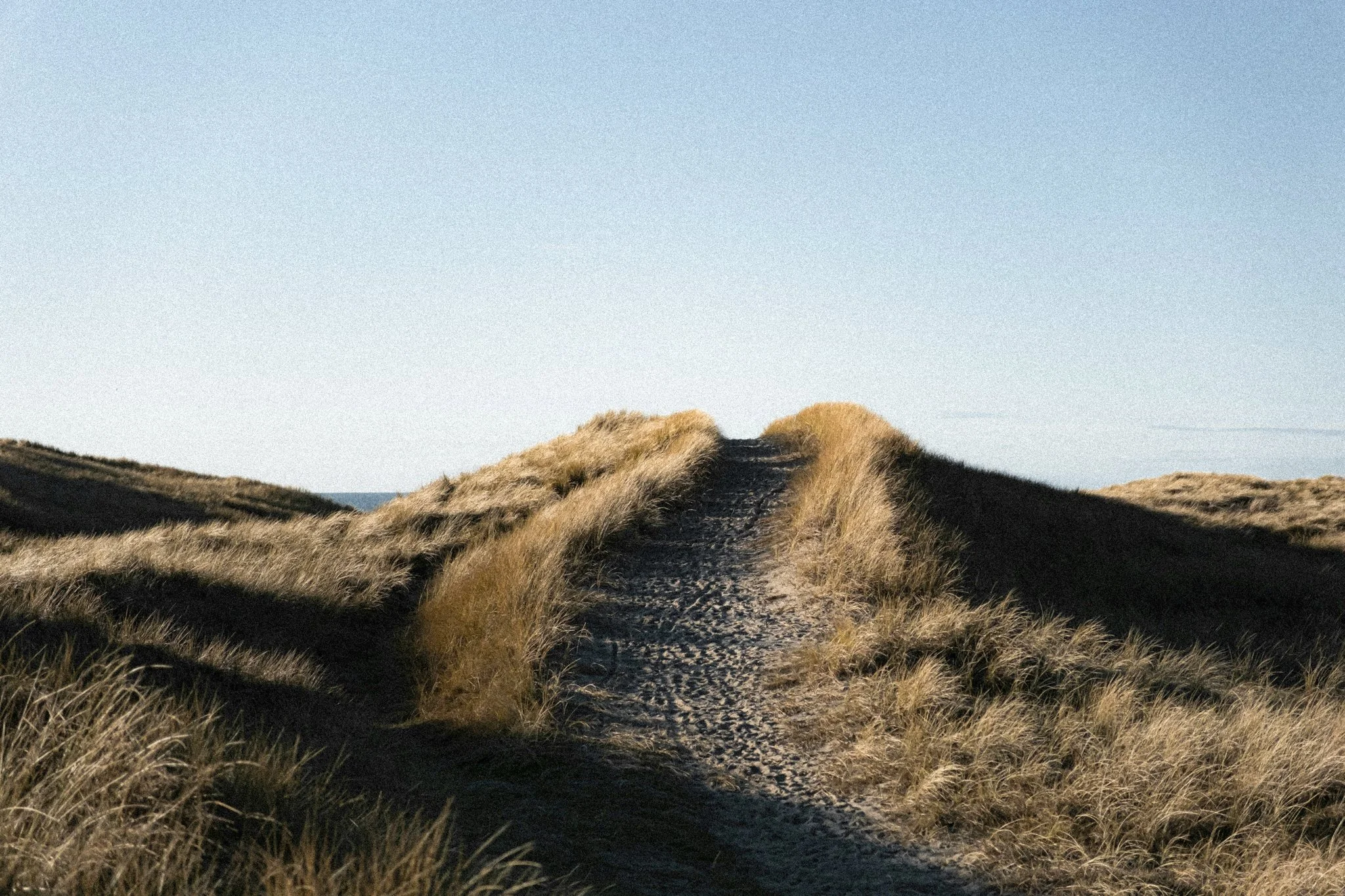 Why Am I Successful But Still Anxious?