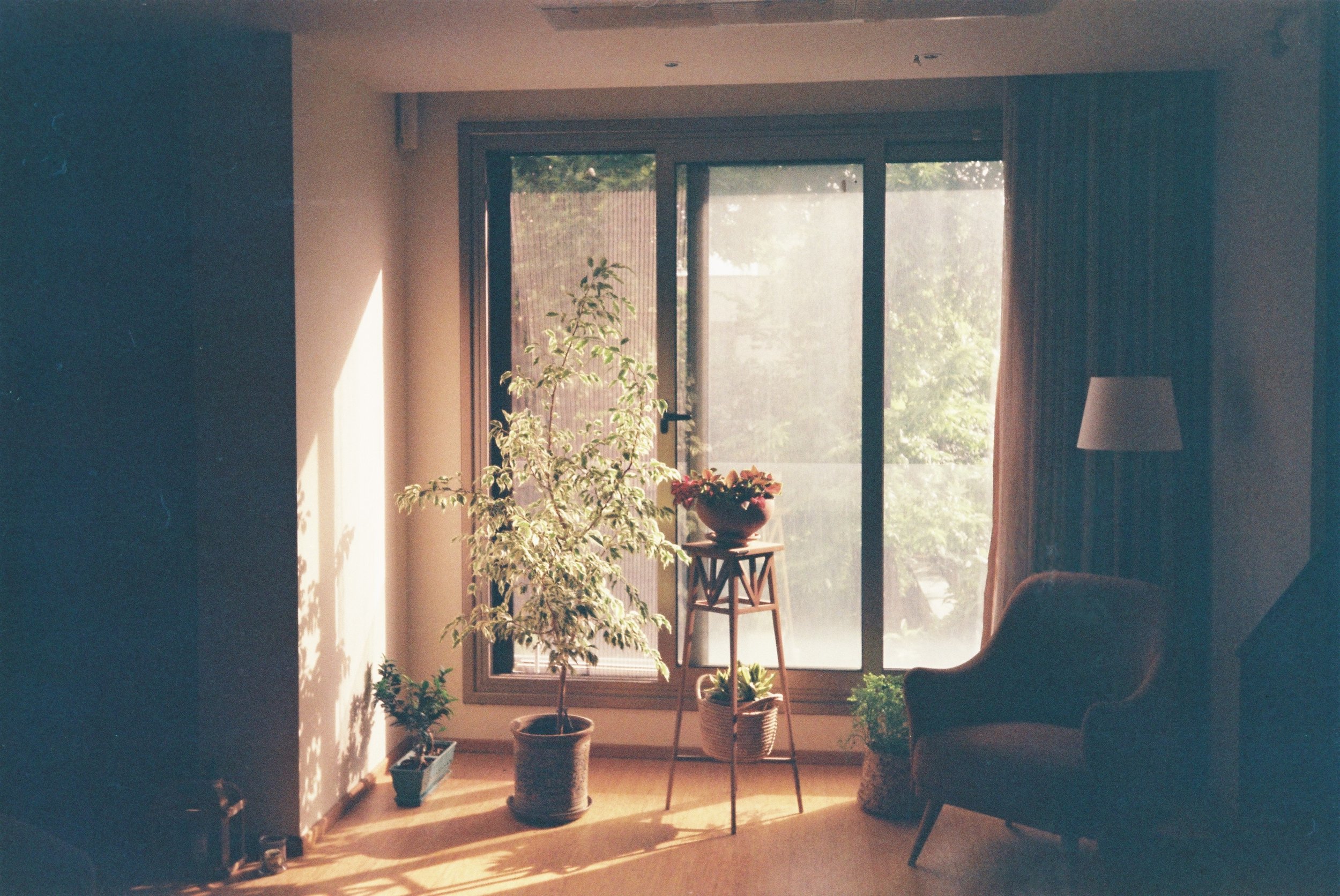 Living room with sunlight streaming through sliding glass doors, displaying potted plants, a wooden stool, and a tall lamp, with curtains partially drawn.