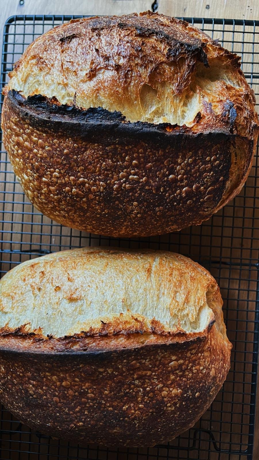 Soudough 1.jpg