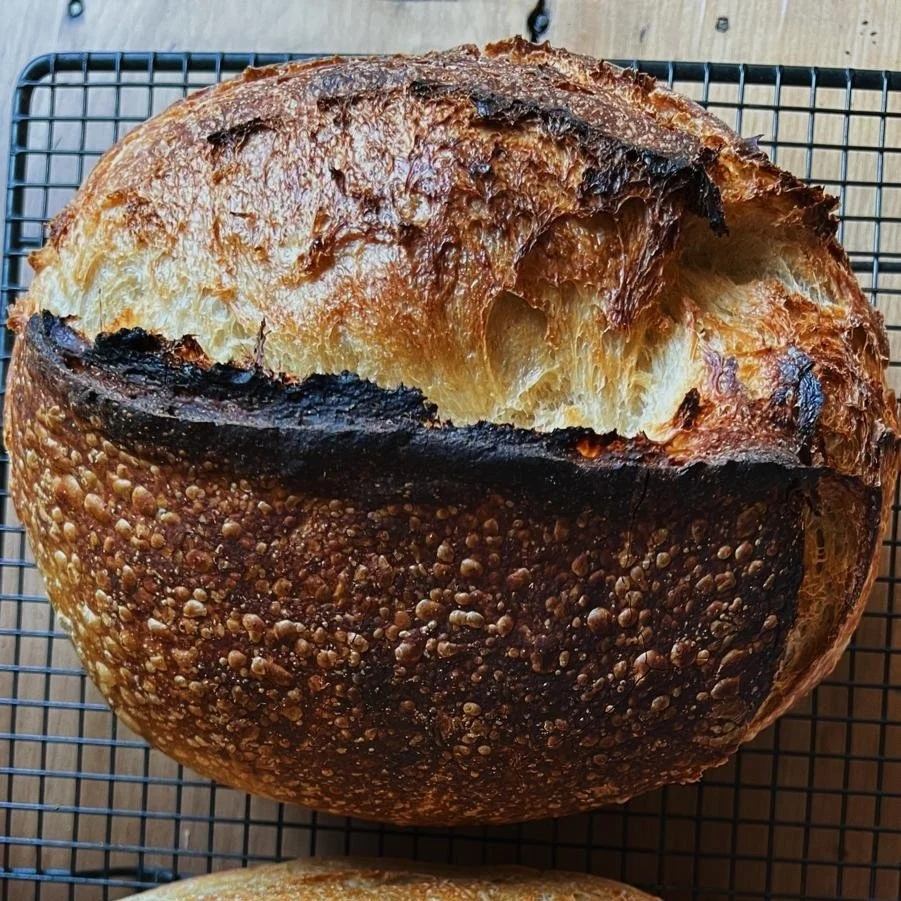 Soudough 1.jpg